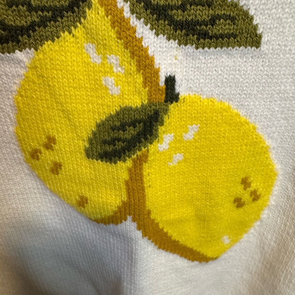 Jessica Simpson Lemon Knit Sweater Vest
Size: M - Picture 3 of 4